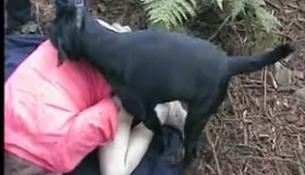 Les étrangers tournage du sexe avec un chien dans la jungle